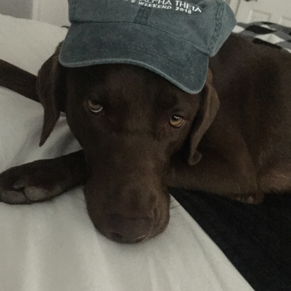 Meet your Posher, Ava
